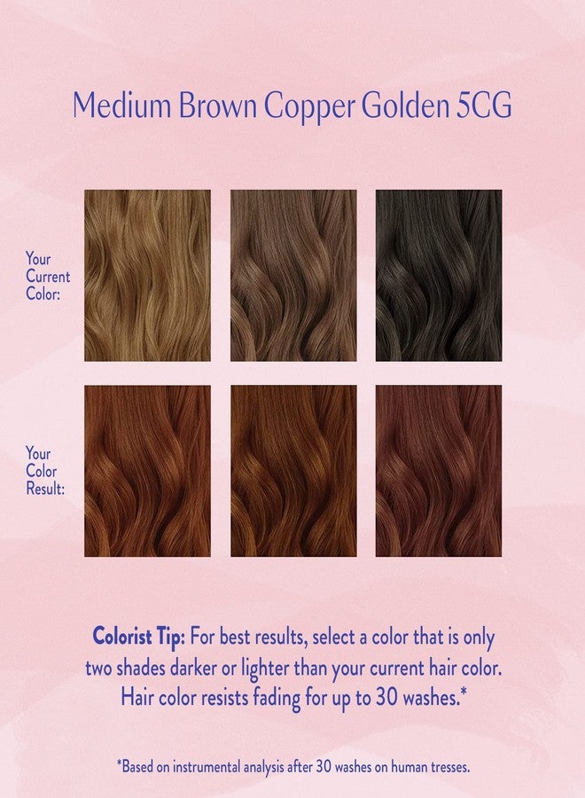 eSalon Permanent Hair Color & Hair Dye Kit - Medium Brown Copper Golden - Professional-Grade Personal Colorist for All Hair Types, Up To 100% Gray Coverage - Ammonia-Free - Image 4